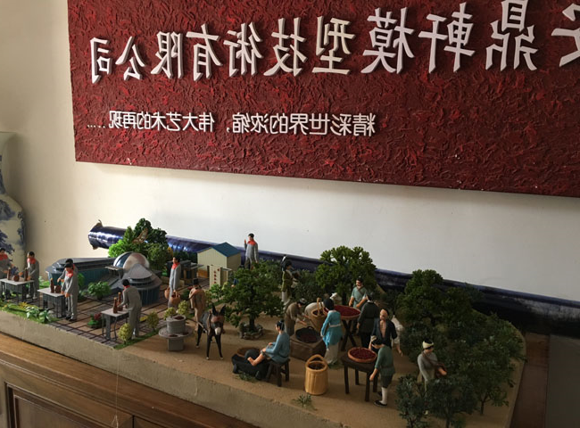微缩景观模子